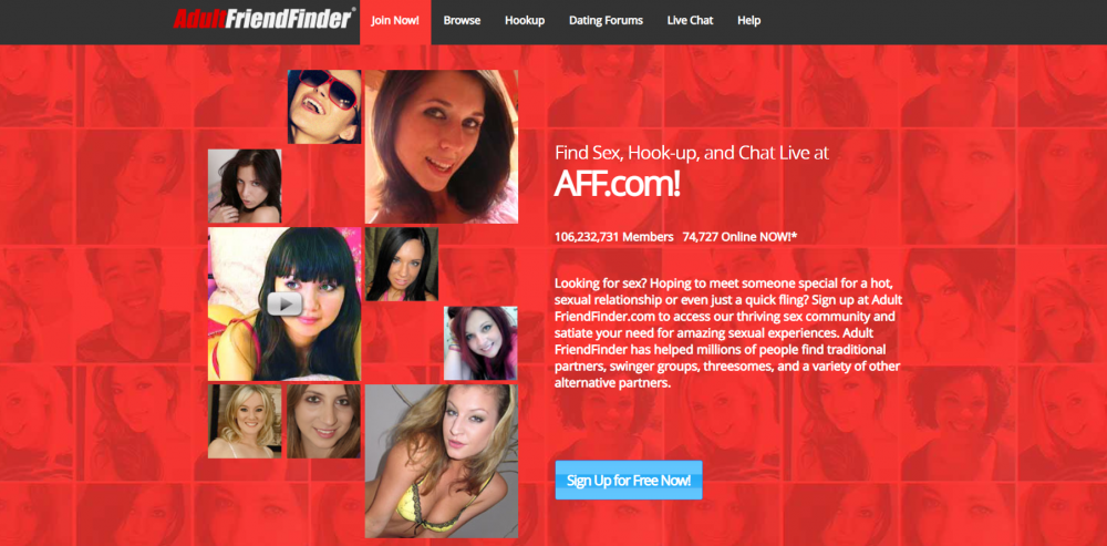 Adult FriendFinder website